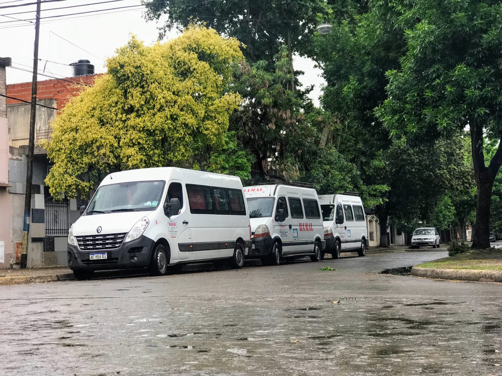 Caravana de combis de Hamal Micro Bus en la calle